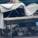 원앙 식당집 이미지