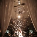 다미가든 이미지