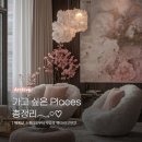 비바PC | 가고 싶은 𝑃𝑙𝑎𝑐𝑒𝑠 총정리🌹 (+계속 추가 예정)