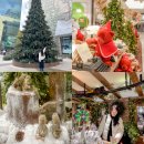 지에스25 안녕센터점 | 현대백화점 무역센터점 크리스마스 포토존 및 주차