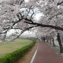 신라초등학교 이미지