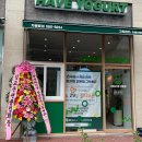 그릭하다 이미지