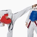 하늘태권도장 이미지