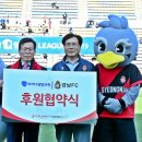 와이디글로벌 이미지