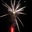 강과소나무 이미지