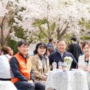 카페벚꽃길 네이버블로그