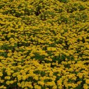 갈말근린공원 이미지