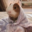 (주)정도 이미지