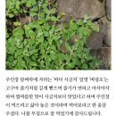 천포민박 이미지