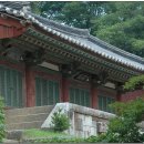 송광사 티스토리