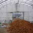 절골농장 이미지