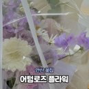 어텀로즈플라워 | [안산]고잔동 꽃집 '어텀로즈 플라워' / M사이즈 꽃다발 후기
