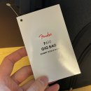 G2168 | [광고] 숏스케일 베이스 케이스를 직구해보자 (Fender FBSS-610)