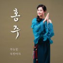 홍주