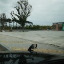 거북이 왕만두김밥 이미지