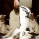 온 그루밍 이미지