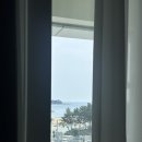 손만두찐빵 이미지