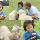 지온목장 이미지