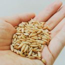 수현농장 이미지