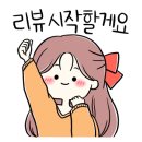 안이담