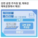 울산 워터버블페스티벌 이미지