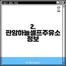 판암하늘셀프주유소 티스토리