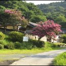 관동묘려 이미지