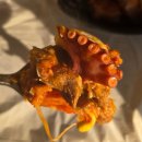 대2-34 | 낭만포차거리삼합 드셔보신 분? 여수낭만포차34번 낭만여수밤바다 후기