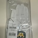 골든베어스크린골프 네이버블로그