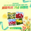 3월 4월 가볼만한곳 봄을 알리는 노란물결 천사의섬 신안 선도 &#34;수선화 꽃축제&#34;