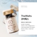 더왈츠의원