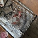 원축산with썰다 이미지