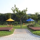 수목화 송정마을 오토캠핑장 | 수목화 송정마을 오토캠핑장 [강원도 고성군]