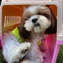 놀러오개 서산점 이미지