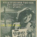 <정윤희 영화평 6탄> 진아의 벌레먹은 장미 1982 이미지