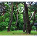 보경사 입구 이미지