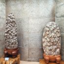 청송수석꽃돌박물관 | 천년의신비로운 수석 &#34;청송수석꽃돌 박물관&#34;