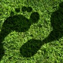 탄소발자국과 지구의 미래 이미지