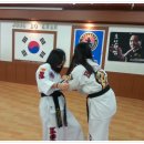 쌍용합기도 이미지