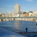 해다오활어회