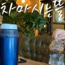 차마시는 뜰 이미지