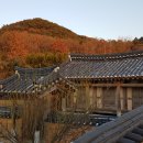 나주 글램핑 어스 이미지
