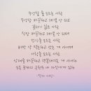 천보산 물사랑 수영장 이미지