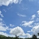 세이즈코스