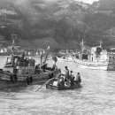 개밥바라기별 이미지