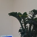 훈육 | 동탄청소년상담 후기, 훈육으로 해결되지 않던 해결책을 찾다