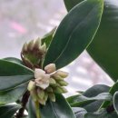 천리향한의원 이미지