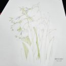 보태니컬 아트 전문가 이미지