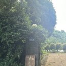 숲속애견샵 이미지