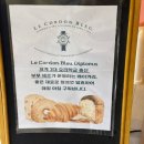 수비네빵 네이버블로그